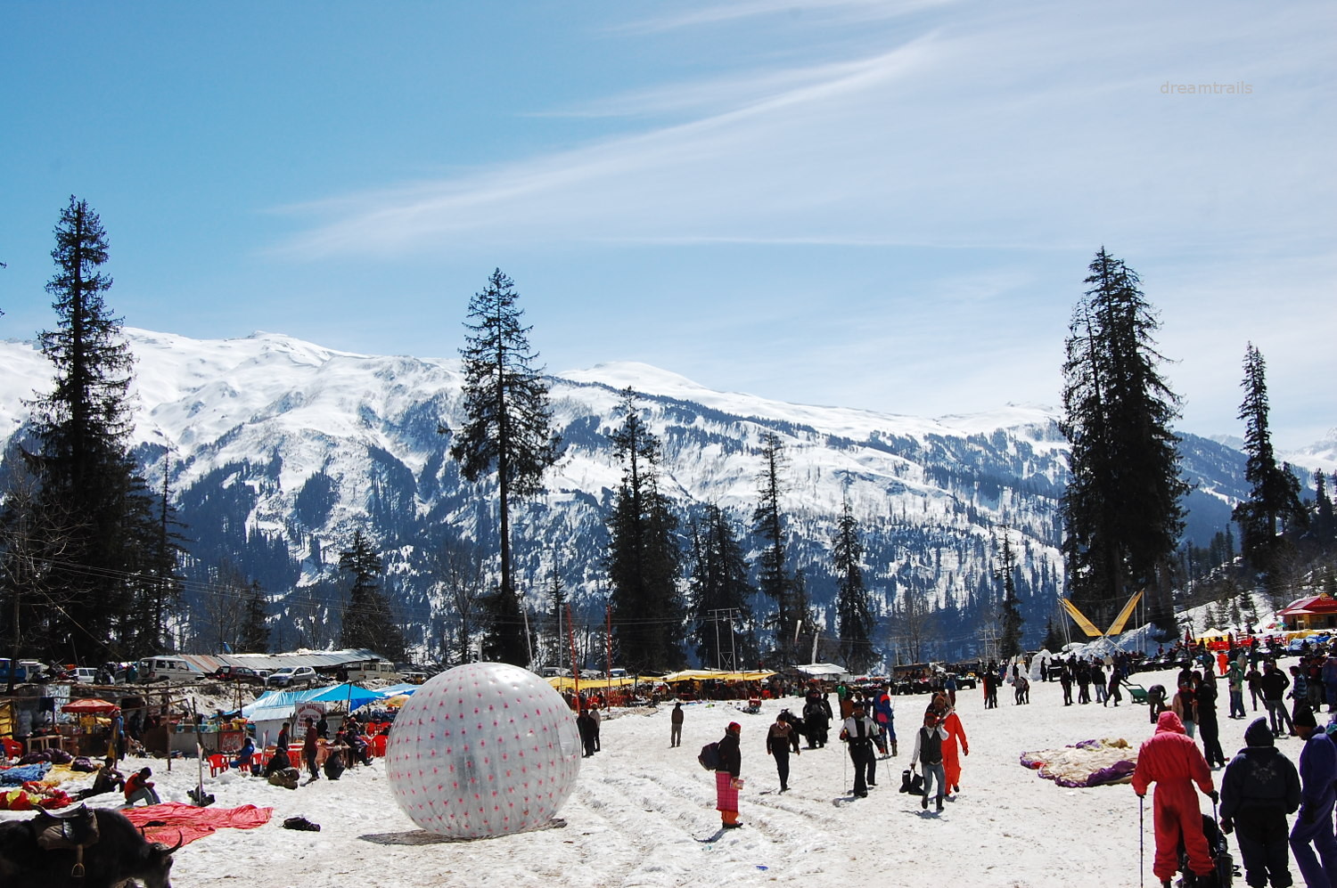 Shimla Manali Tour Package From Delhi 