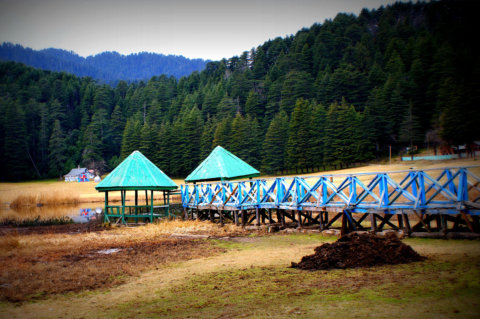 Shimla Manali Dharamshala Dalhousie Tour Package Ex Delhi