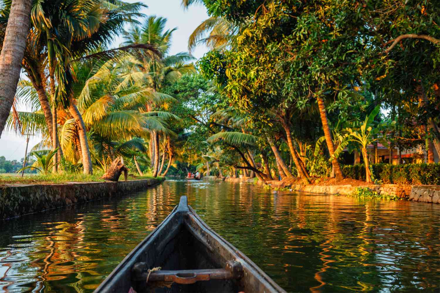 Kerala with Alleppey Backwaters
