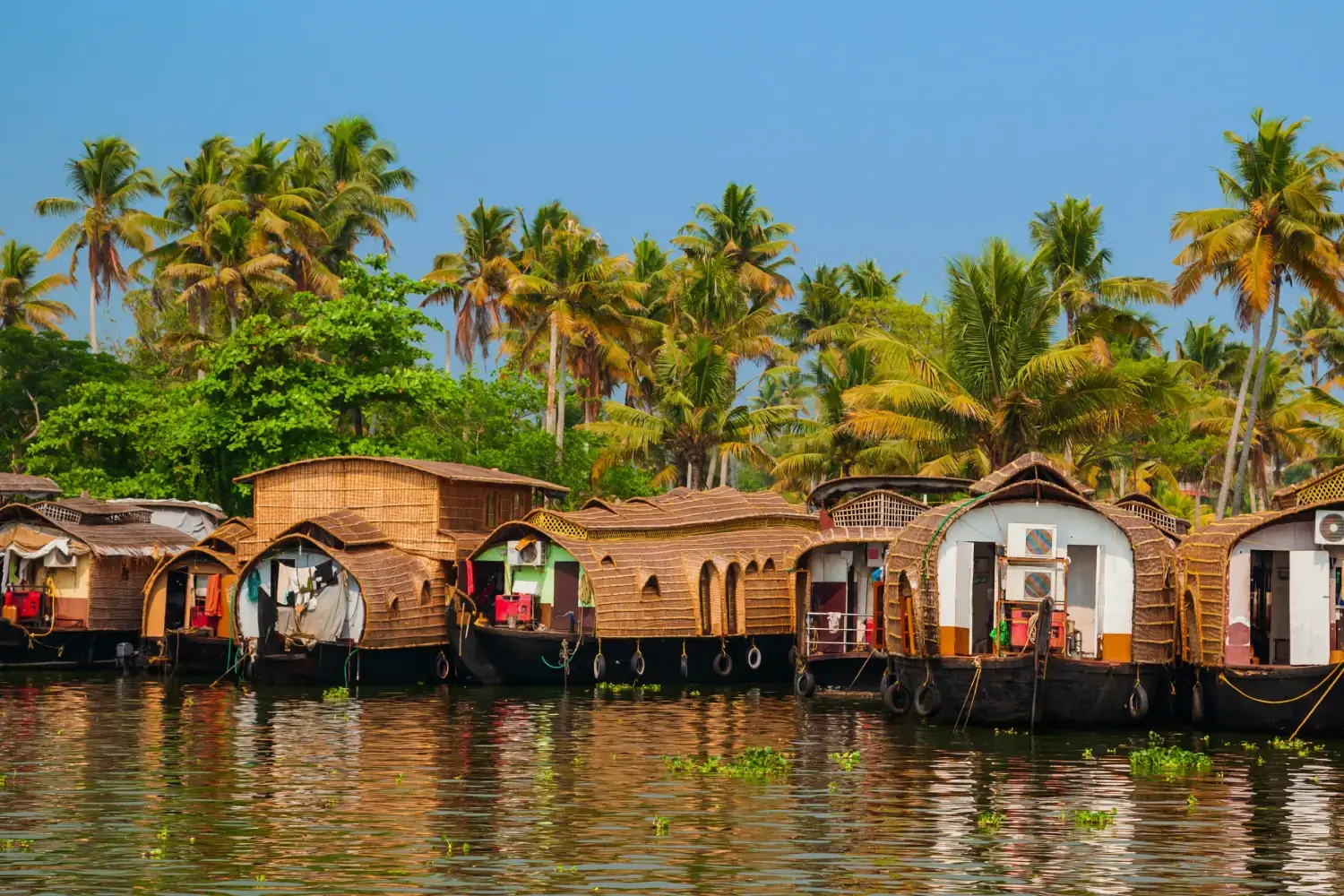 Gems of Kerala with Alleppey