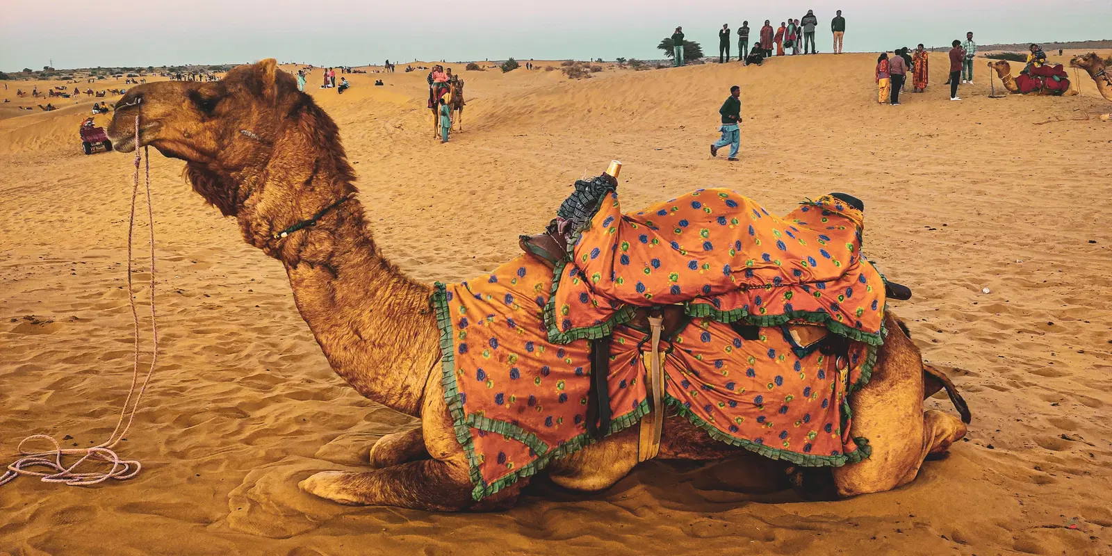 Jaisalmer Longewala Trip