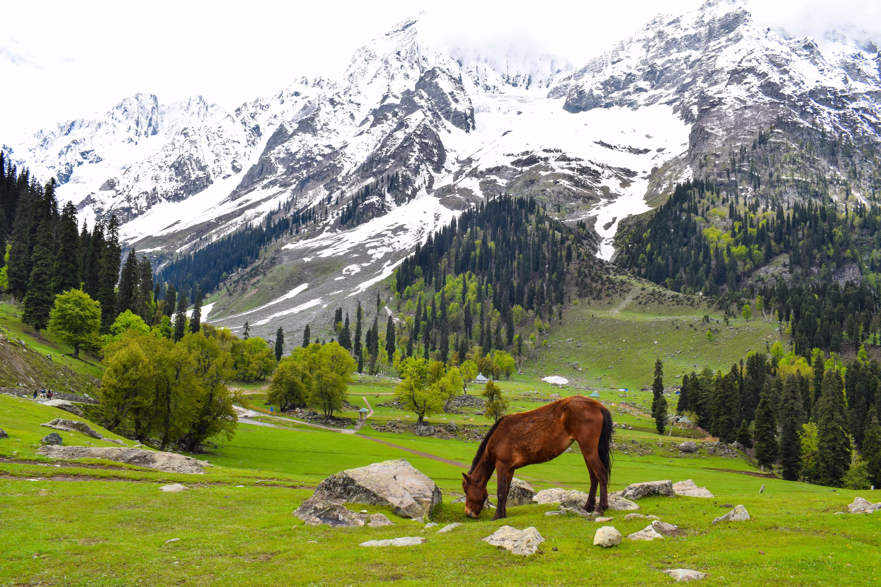 Charming Kashmir